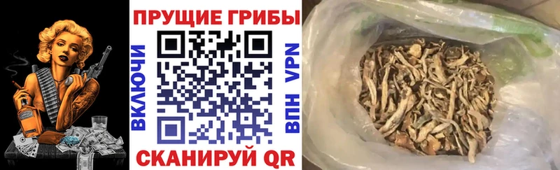 Псилоцибиновые грибы ЛСД Лыткарино