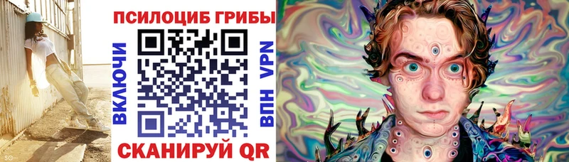 дарк нет состав  Лыткарино  Галлюциногенные грибы MAGIC MUSHROOMS 