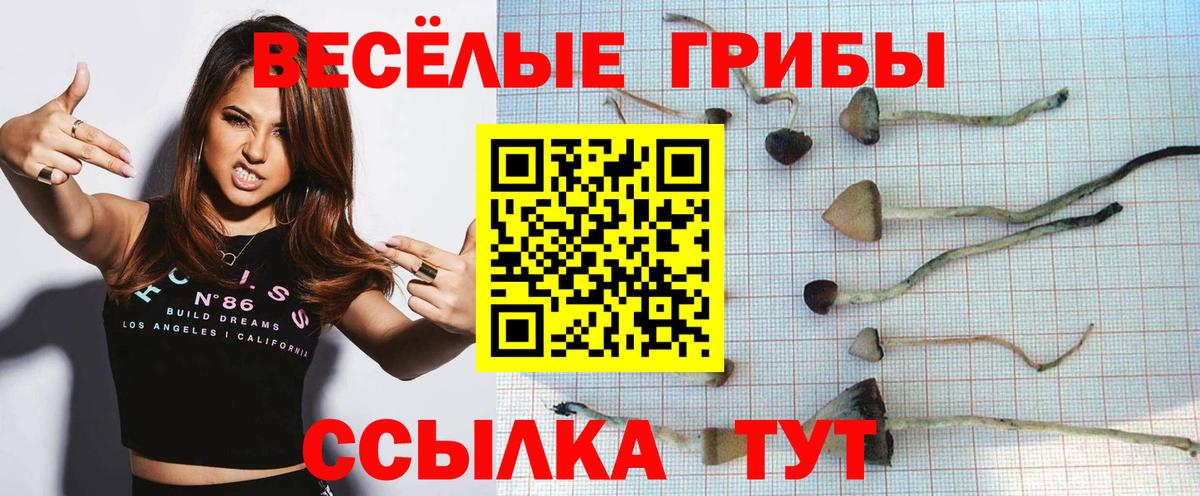 Галлюциногенные грибы ЛСД  Галлюциногенные грибы прущие грибы  сколько стоит  Вход с VPN  Лыткарино 
